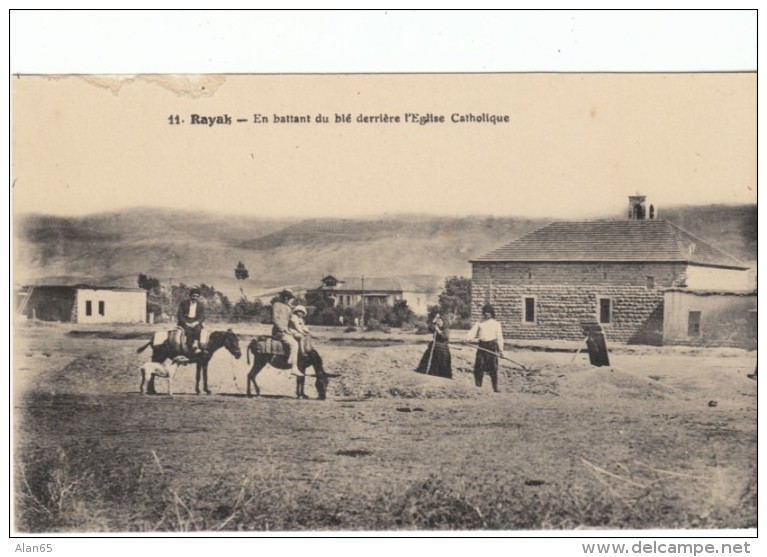 Riyak Riyaq Lebanon French Colonial Era, Wheat Harvest, Catholic Church, C1900s/10s Vintage Postcard - Lebanon