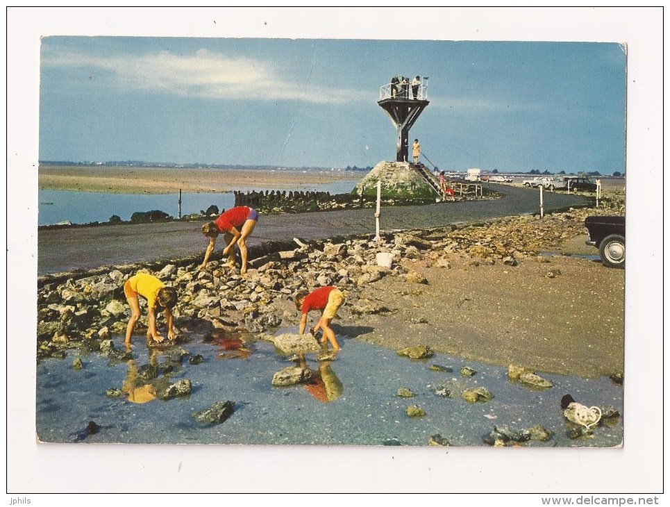 ( 85 )  ILE DE NOIRMOUTIER , Pécheurs à Pieds Ramasseurs De Coquillages Au Passage Du Gois - Ile De Noirmoutier