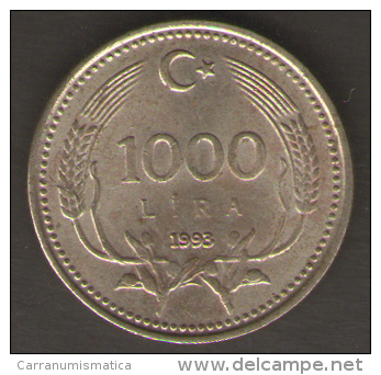 TURCHIA 1000 LIRA 1993 - Turkey