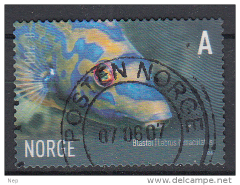 NOORWEGEN - Michel - 2006 - Nr 1590A - Gest/Obl/Us - Oblitérés