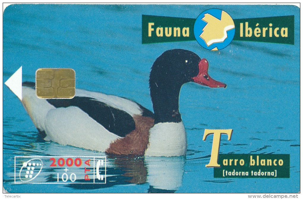 Télécarte  Télefonica " FAUNA IBERICA" Tarro Blanco 2000+100PTA  Privée  Vide  Et TTB    N° Lot N05454836*** - Emisiones Privadas