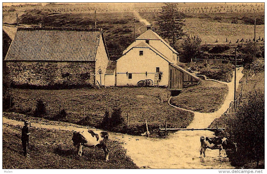 MOULIN à EAU ET LA WARCHE à WEVERCE WEYWERTZ BÜTGENBACH WATERMOLEN Molen Moulin Mill Muhle Molino Laminatoio Moinho 4098 - Butgenbach - Buetgenbach