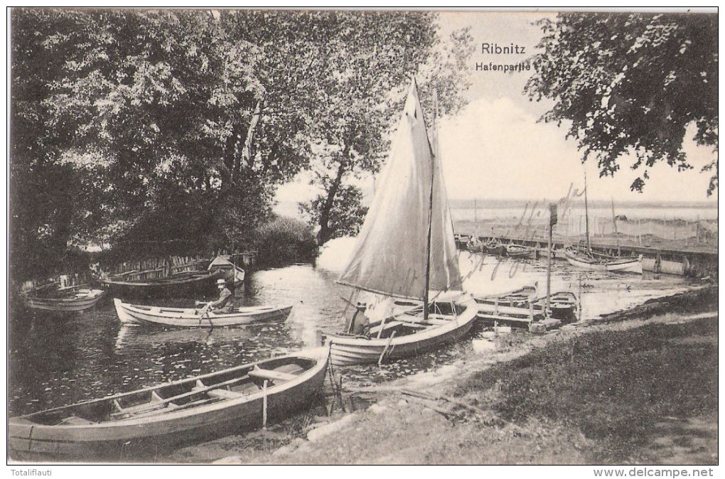 RIBNITZ Damgarten Hafenpartie Belebt Ruder Und Segel Boote 24.6.1906 Gelaufen - Ribnitz-Damgarten