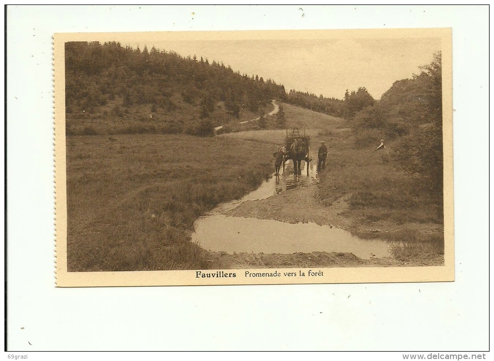 Fauvillers Promenade Vers La Forêt - Fauvillers