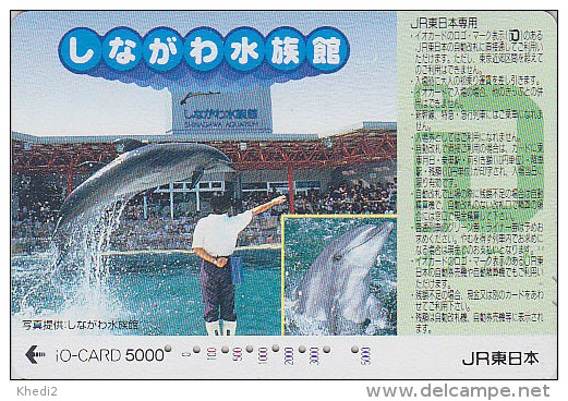 Carte Prépayée Japon - DAUPHIN / Spectacle - DOLPHIN SHOW Japan Prepaid Card - DELFIN Karte - 583 - Delfines