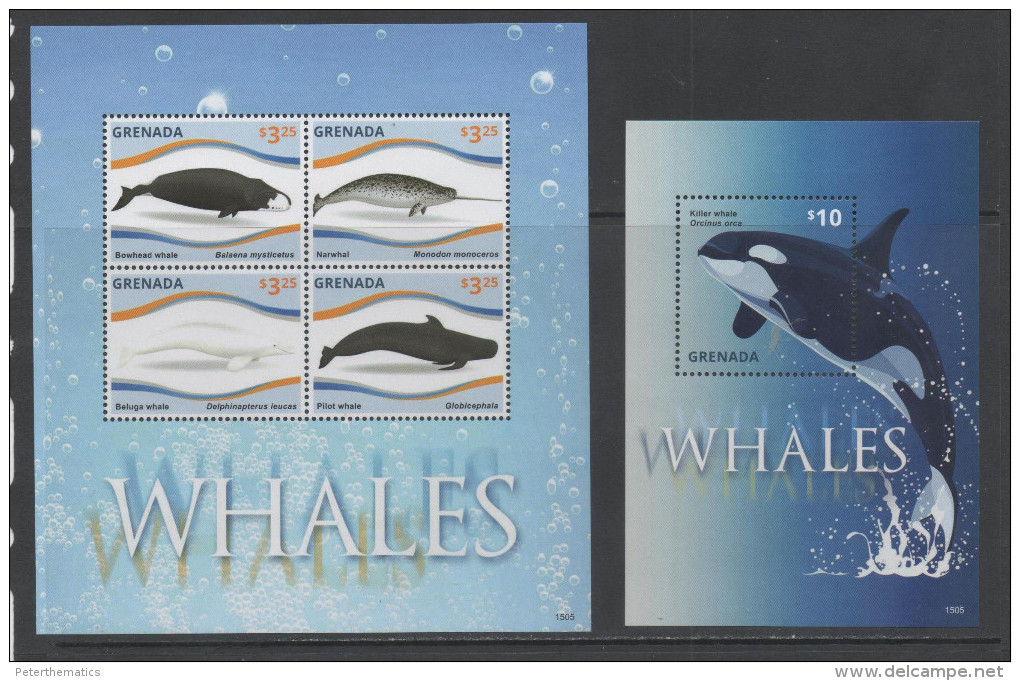 GRENADA ,  2015, MNH, WHALES, ORCA, PART I,  SHEETLET+ S/S - Baleines