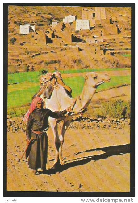 SAUDI ARABIA Beduin And Camel Asir Highlands 1978 - Saoedi-Arabië