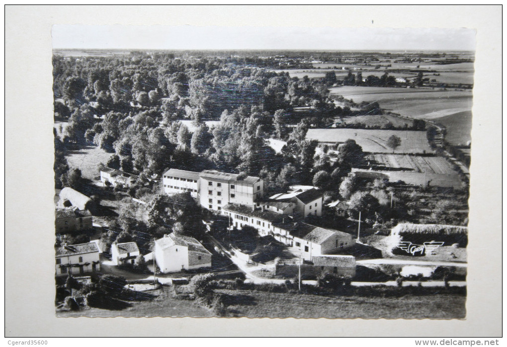 79 : Mauze Le Mignon - Minoterie De Mallet ( Vue Avion ) - Mauze Sur Le Mignon