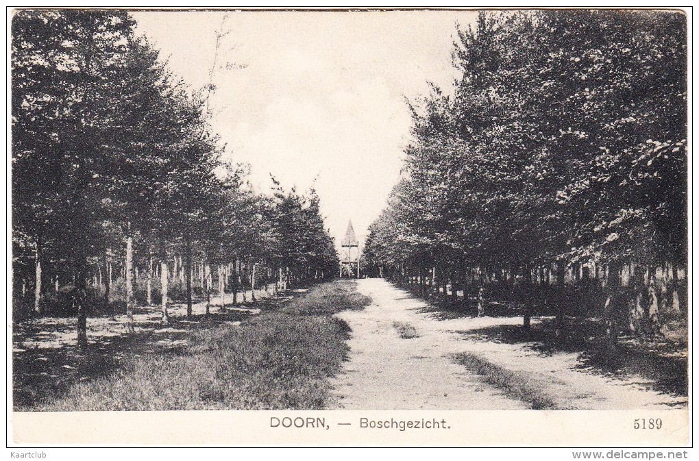 Doorn - Boschgezicht   -  (Uitg. Nauta, Velsen - 5189)    - (Utrecht - Holland/Nederland) - Doorn