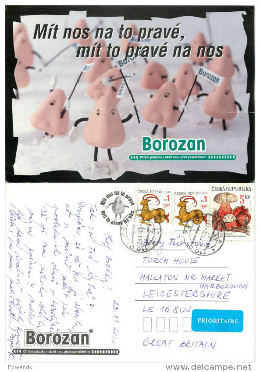 Borozan, Advertising Card, Czech Republic Postcard Posted 2000 Stamp - Czech Republic