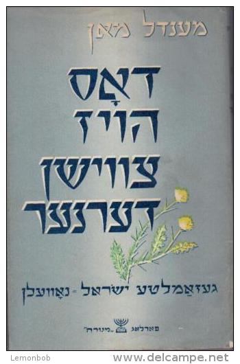 Dos Hoyz Tzvishn Derner: Thorns Around The House Jewish Yiddish Book By Mendl Mann - Other & Unclassified