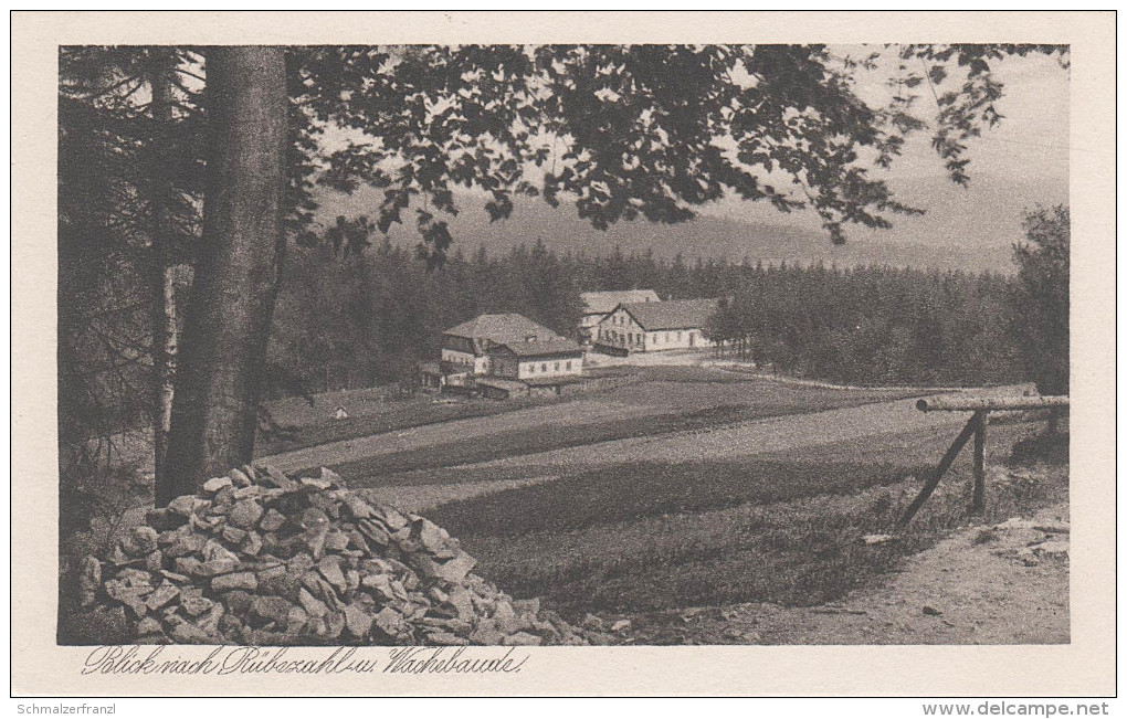 AK Waltersdorf Wachebaude Wache Rübezahlbaude Lausche Bei Grossschönau Jonsdorf Jägerdörfel Niederlichtenwalde Oybin - Grossschoenau (Sachsen)