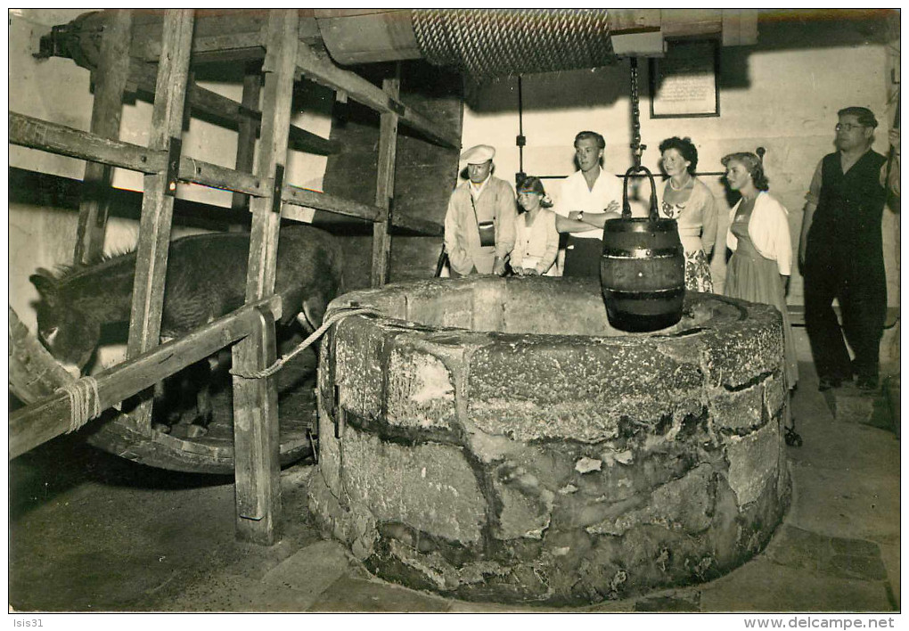 Royaume-Uni - Angleterre - Isle Of Wight - Animaux - Anes - Ane - Carisbrooke Castle - The Well And Donkey Wheel - Autres & Non Classés