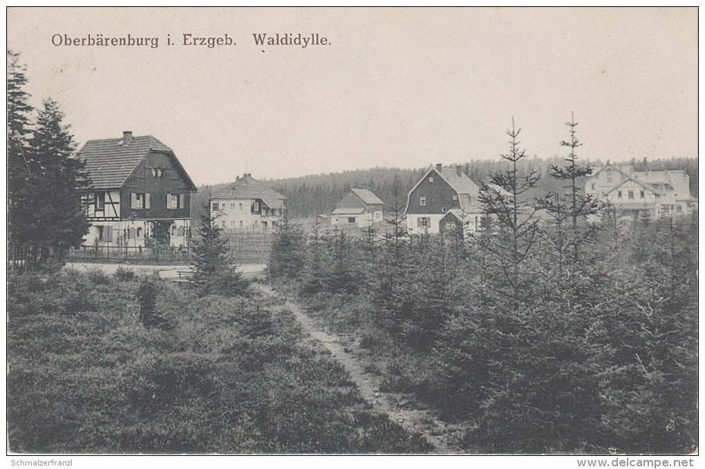 AK Waldidylle Gasthof Erzgebirgsbaude Bei Oberbärenburg Falkenhain Schmiedeberg Dönschten Johnsbach Altenberg Glashütte - Schmiedeberg (Erzgeb.)