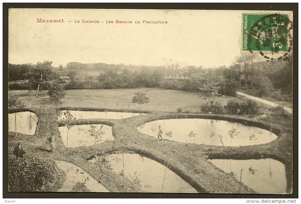 MAZAMET La Calmille Les Bassins De Pisciculture (Carayol) Tarn (81) - Mazamet