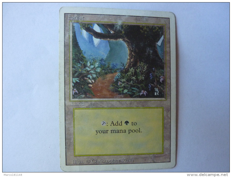 Magic The Gathering Land Forest - Andere & Zonder Classificatie