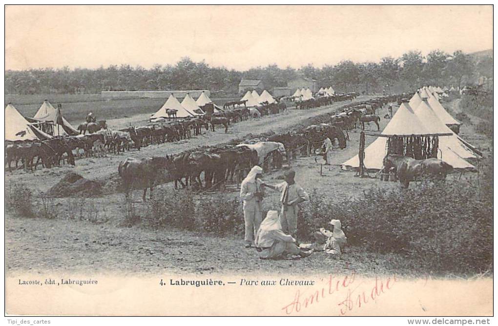 81 - Labruguière - Parc Aux Chevaux (militaria) - Labruguière