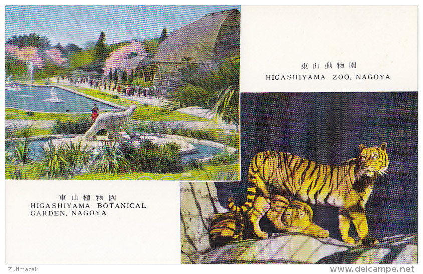 Japan - Nagoya - Higashiyama Zoo & Botanical Garden Old Postcard Tiger - Nagoya