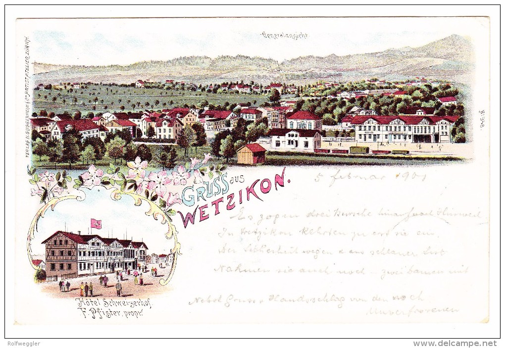 AK ZH Wetzikon Gruss Aus Litho Guggenheim Ges. 5.2.1901 - Wetzikon