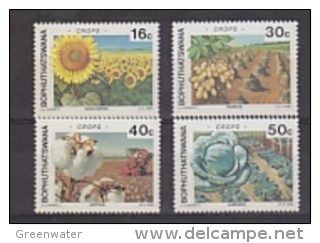 Bophuthatswana 1988 Agricultural Crops 4v ** Mnh (24103) - Bophuthatswana