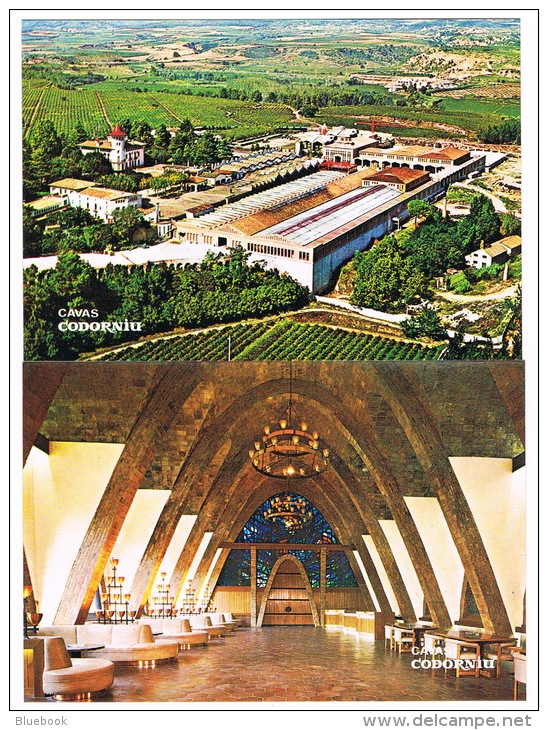 RB 1049 -  Pack With 7 Postcards &amp; 1 Card Advertising Cavas Codorniu Spain - Wine Alcohol - Advertising