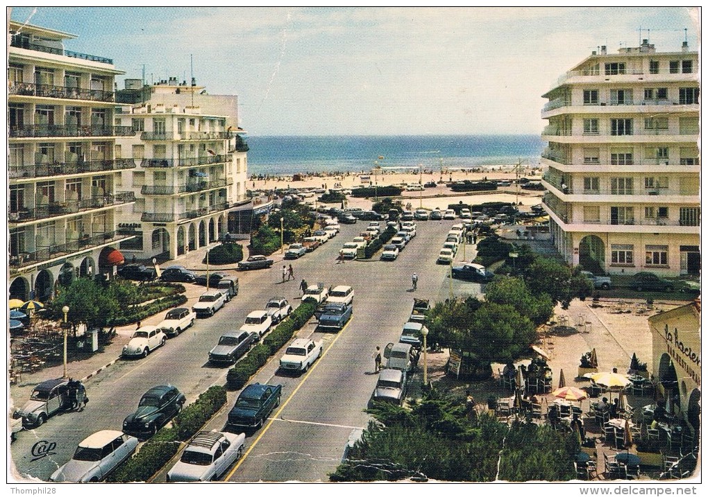 CANET-PLAGE - Avenue De La Plage - Animation Avec Autos : DS, 2CV, 404, 203,Cox, Aronde, Ariane.... - 2 Scans - Canet Plage