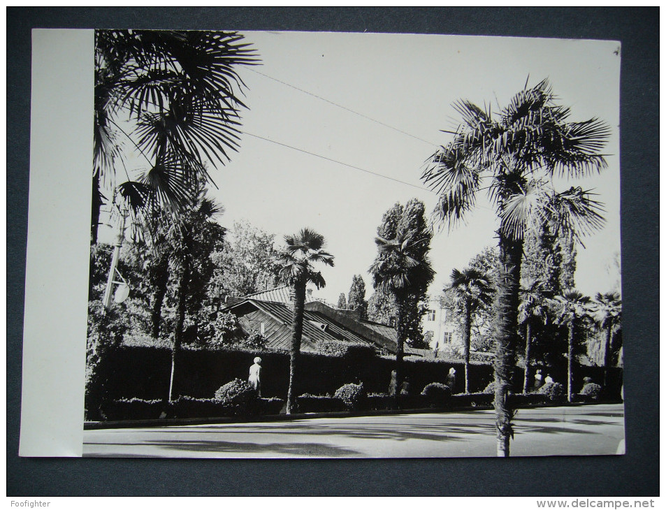 USSR - SOVIET UNION: Somewhere In Crimea Or Sochi - Street People Houses Palm Trees - Old Photo Format 18 X 13 Cm - Lieux