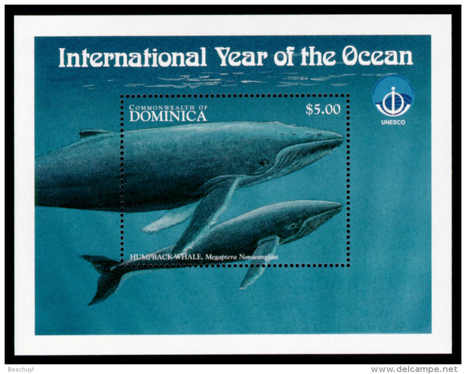 Dominica, 1998, International Year Of The Ocean 1998, IYO, UNESCO, Michel #Block 368, Scott #2087, MNH, Perforated So... - Dominique (1978-...)