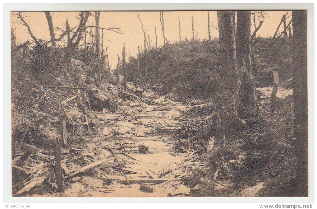 Kemmel, Ruines De Kemmel, Holle Weg (pk22464) - Heuvelland