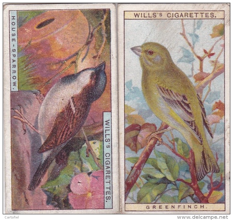 CHROMO-CIGARETTES-WILLS-BRITISH BIRDS-LOT OF 2 PIECES-LOOK AT 2 SCANS-LITTLE PRICE ! ! ! - Wills