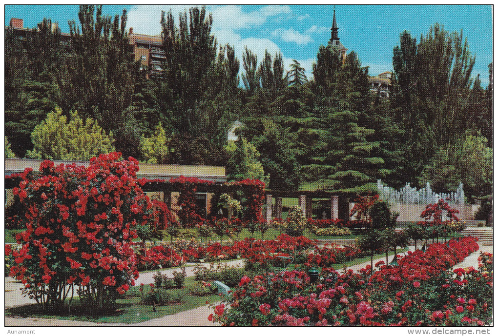 España--Madrid--1964--Rosaleda Del Parque Del Oeste--Fechador --Madrid- A, Sotteville Les Rouen, Francia - Flores