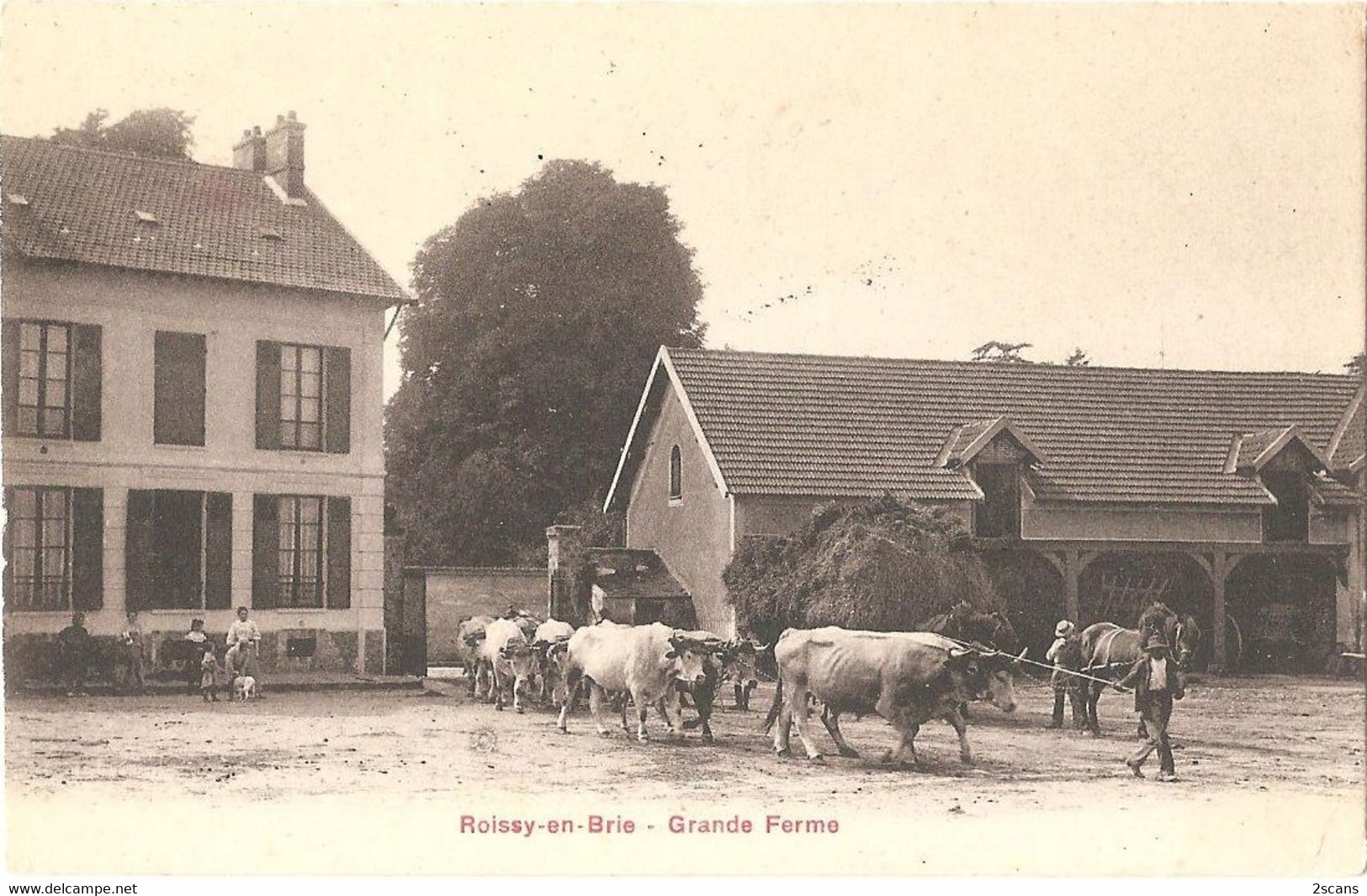 Dépt 77 - ROISSY-EN-BRIE - Grande Ferme (ferme De Wattripont) - Simi-Bromure A. Breger - (attelage De Boeufs) - Roissy En Brie
