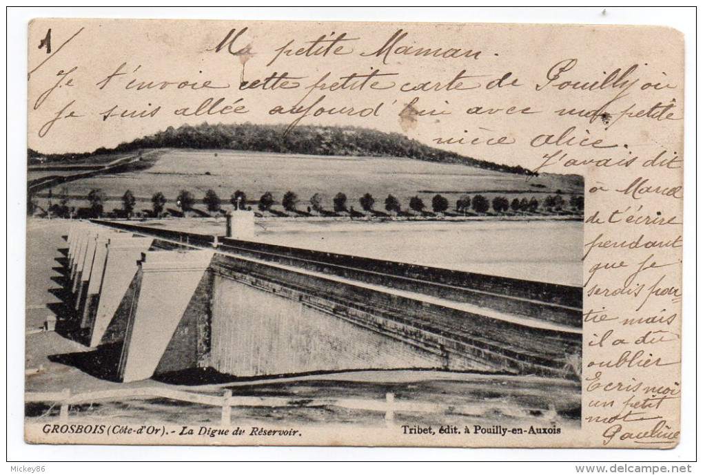 GROSBOIS EN MONTAGNE-1903-La Digue Du Réservoir éd Tribet-Beau Cachet  17.08.03-Pouilly En Auxois-Vue Pas Très Courante- - Autres & Non Classés