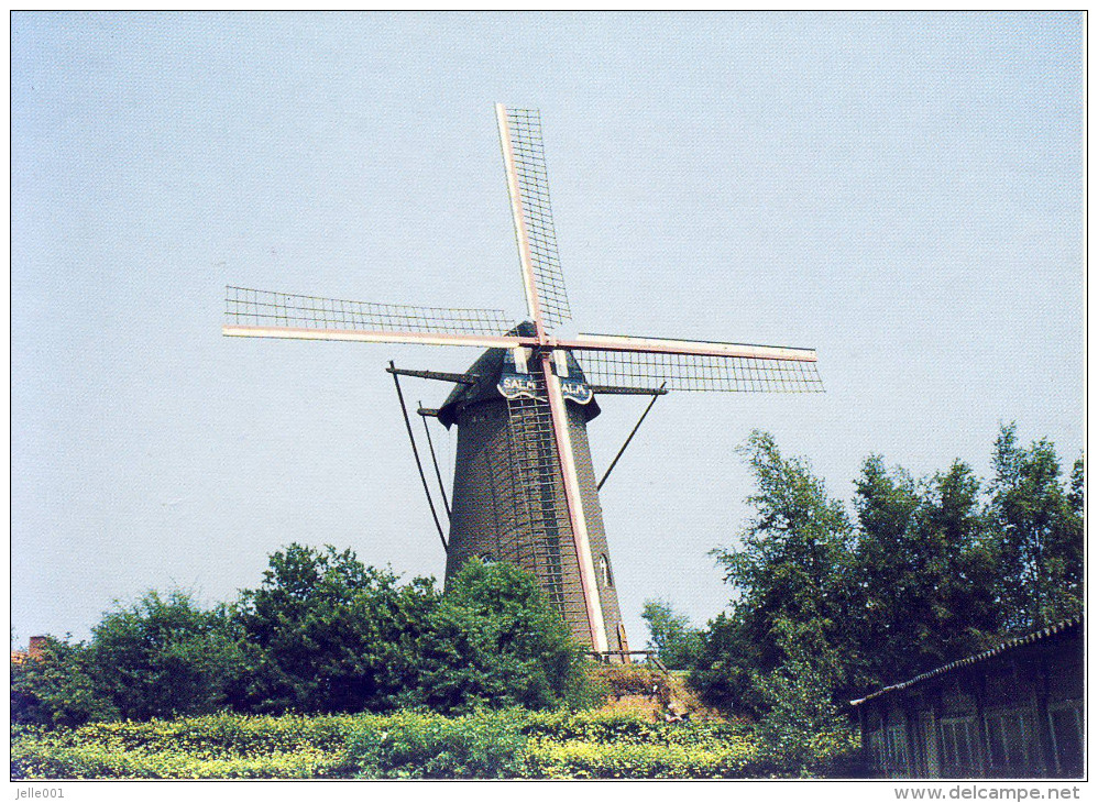 Hoogstraten Molen - Hoogstraten