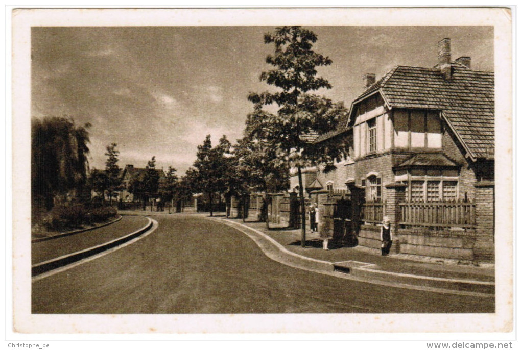 Kolenmijnen Van Beringen, Een Hoekje Van De Noorder Arbeiderswijk (pk21302) - Beringen