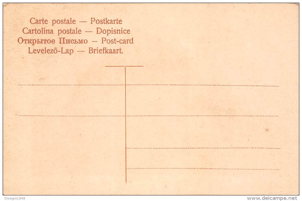 03898 "GASTHAUS ZUM HIMMELREICH - SUD TIROL (BZ)" CART. ILL.  ORIG. NON SPEDITA. - Autres & Non Classés