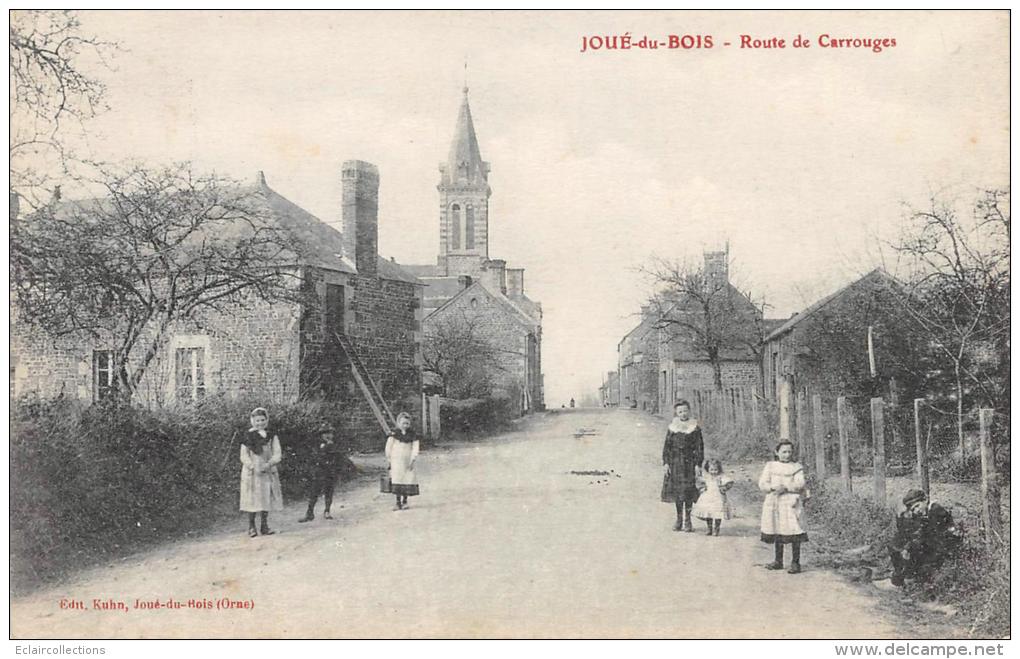 Joué Du Bois     61       Route De Carrouge - Sonstige & Ohne Zuordnung