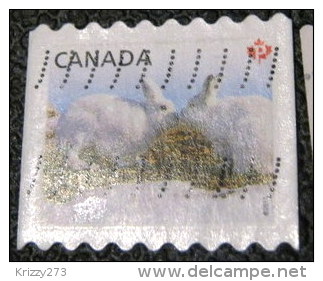 Canada 2011 Baby Wildlife Lepus Arcticus P - Used - Used Stamps