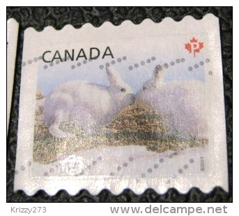 Canada 2011 Baby Wildlife Lepus Arcticus P - Used - Used Stamps