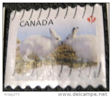 Canada 2011 Baby Wildlife Lepus Arcticus P - Used - Used Stamps
