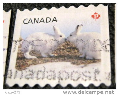 Canada 2011 Baby Wildlife Lepus Arcticus P - Used - Gebruikt