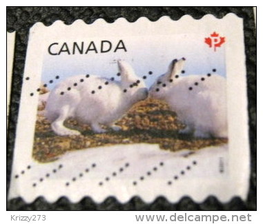 Canada 2011 Baby Wildlife Lepus Arcticus P - Used - Gebruikt