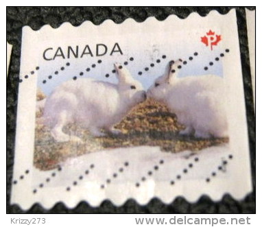 Canada 2011 Baby Wildlife Lepus Arcticus P - Used - Used Stamps