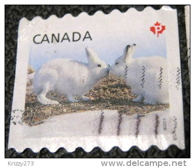 Canada 2011 Baby Wildlife Lepus Arcticus P - Used - Used Stamps