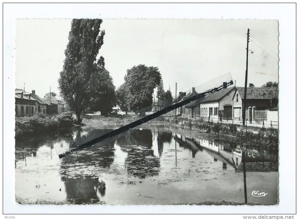 CPM - Quevauvillers - Place Des Marronniers - Saint Valery Sur Somme