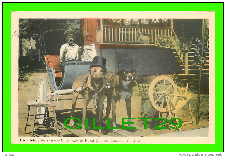 ATTELAGES DE CHIENS - A DOG CART IN RURAL QUEBEC - R. Q. - CIRCULÉE EN 1947 - PECO - - Attelages