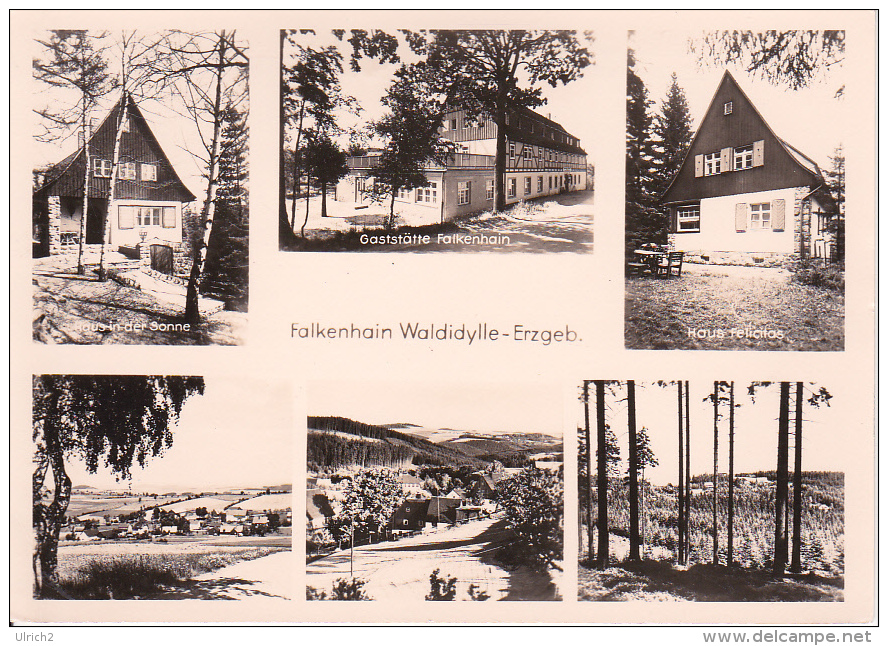 AK Falkenhain - Waldidylle - Erzgebirge - Ferienheim VEB Elektromotorenwerke Dresden - Mehrbildkarte  (17582) - Altenberg