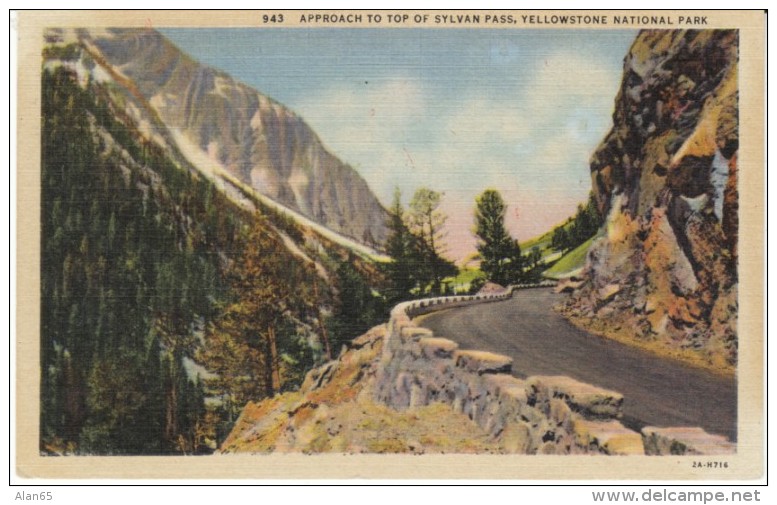 Yellowstone Park Wyoming, Sylvan Pass Highway Scene, C1930s Vintage Curteich Linen Postcard - Yellowstone