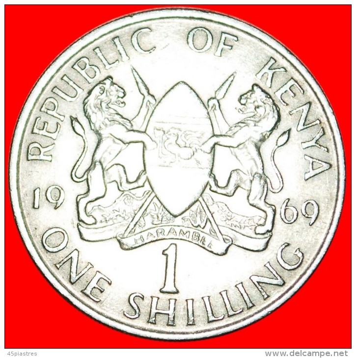 * COCK (1969-1978): KENYA  1 SHILLING 1969! LOW START NO RESERVE! - Kenya