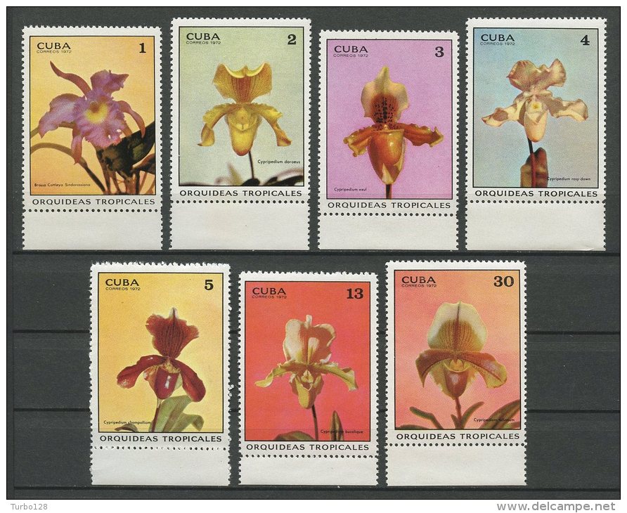 CUBA 1972 N° 1556/1562 ** Neufs = MNH Superbes Cote 7 &euro; Fleurs Orchidées Tropicales Flore Flora Flowers - Ongebruikt